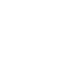 paralogic-icon