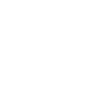 Ion